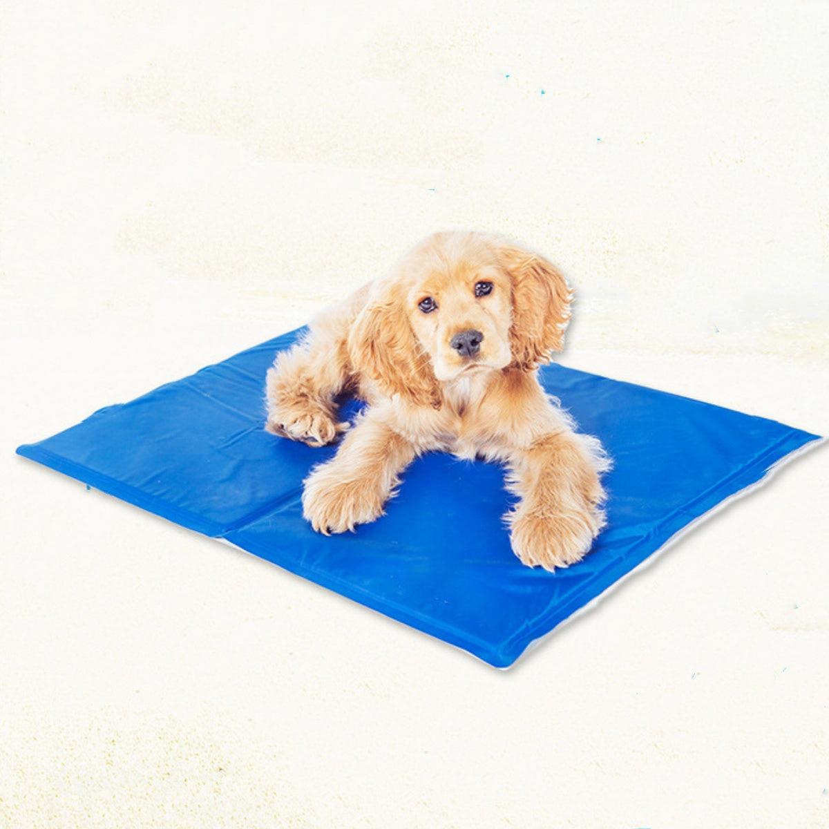 12" x 16" Pet Cooling Pad for Small Dogs Prevent Overheating and Dehydration Keep Your Dog Comfortable at Home or Travel