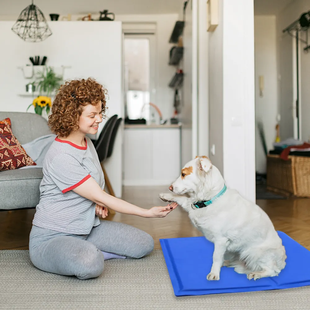 12" x 16" Pet Cooling Pad for Small Dogs Prevent Overheating and Dehydration Keep Your Dog Comfortable at Home or Travel